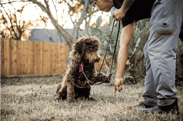 TFYD photo 1 768x511